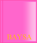 Baysa