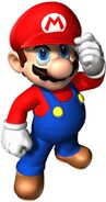 Mario's main pose