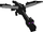 Ender dragon