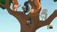 S1 E8 Squirrels