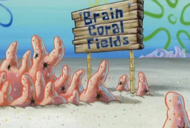 bob esponja squilliam devuelve el cerebro