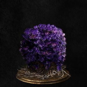 Purple Moss Clump.jpg