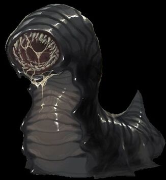 Black Leech.jpg