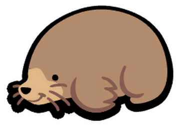Pet mole sale