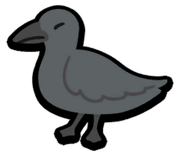 Pet crow sales