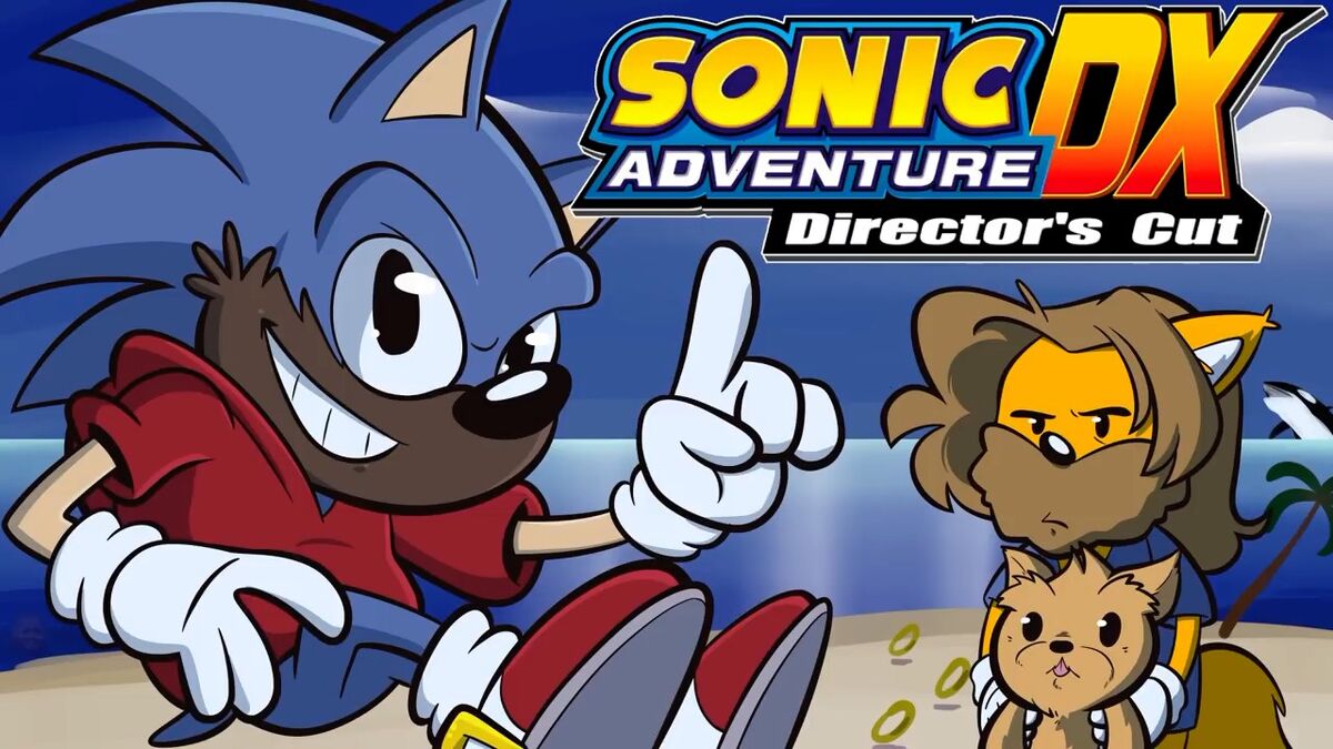 Sonic Adventure DX: Director's Cut Nintendo Gamecube Game – The Game Island