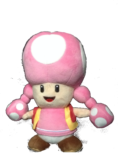 Toadette Superdaniels737mario Wiki Fandom 9160