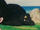 Baby Gamera.png