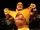 Hulk Hogan