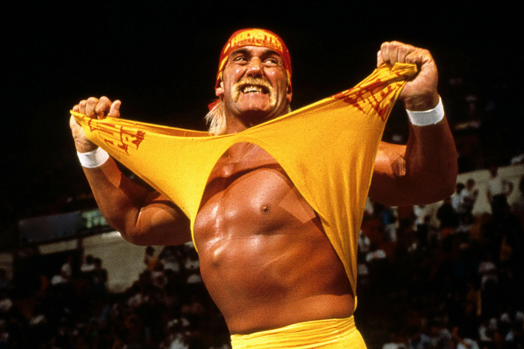Hulk Hogan | SuperEpicFailpedia Wiki | Fandom, image size:2197x1463