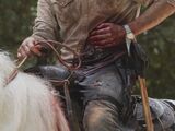 Rick Grimes/TV
