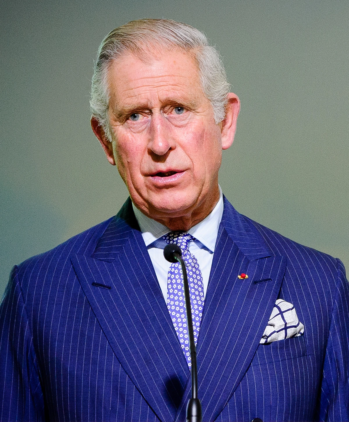 Charles III | SuperEpicFailpedia Wiki | Fandom