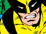 Wolverine (Logan)