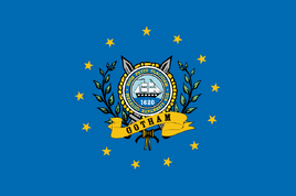 Flag