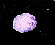 Frozen asteroid