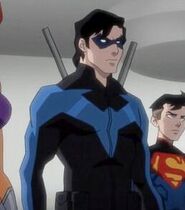 Nightwing (Sean  Maher) DC Animated Film Universe (2013-2020)