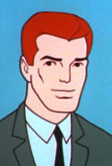 Auburn Hair Ray Palmer
