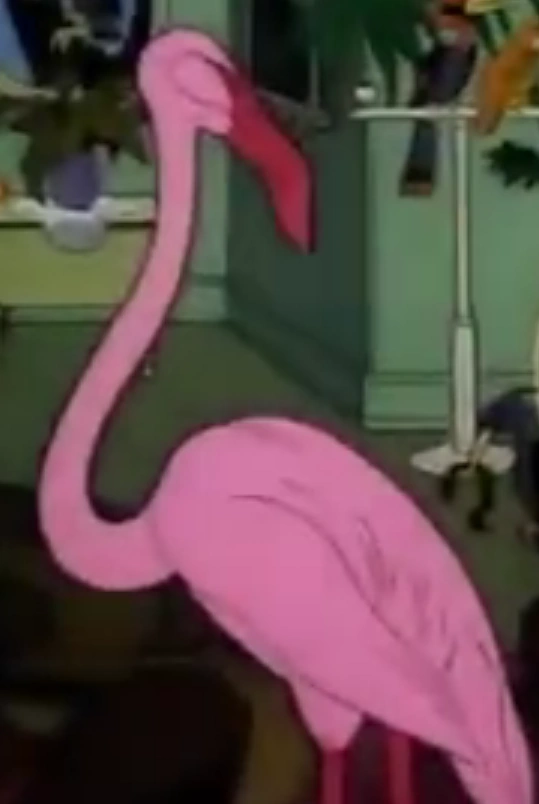 sb flamingo
