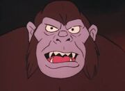 Grodd