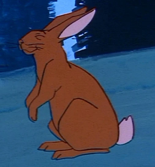 Rabbit (The Shamon 'U') | SuperFriends Wiki | Fandom