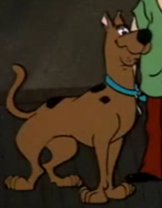 Scooby Doo!