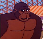 Gorilla