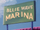 Billie Wave Marina
