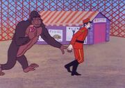 Animal training