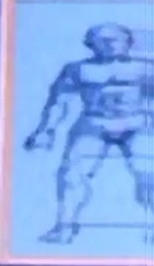 Anatomy