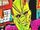 Ambush Bug