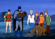 Bat-snacks