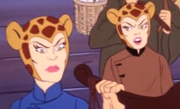 Cheetahs