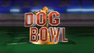 Dog Bowl