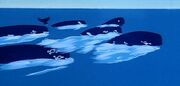 Whale