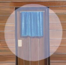 Curtain