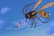 Invisible Jet and Wasp