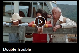 Double Trouble | SuperFriends Wiki | Fandom