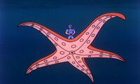 CaptainCudaStarro