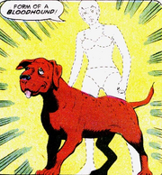 Bloodhound