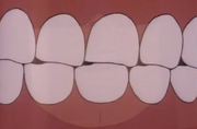 Teeth