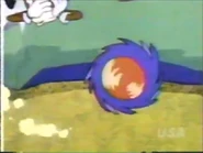 Get Into 26.jpg (49 KB) Sonic the Hedgehog using his Spin Dash