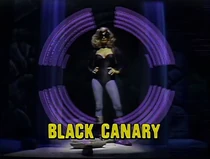 Black Canary Played by: Danuta Wesley