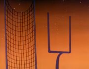 Football Goal Post and Net in Endzone