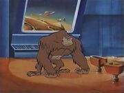 Jayna as a Gorilla