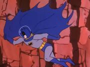Bat-Cape