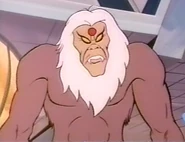 The Leader of the Novarians