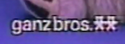 Ganzbros