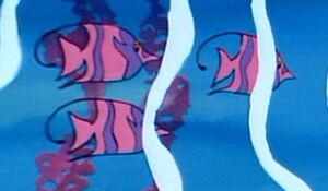 Angelfish