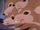 Rodent