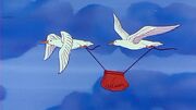 Seabird